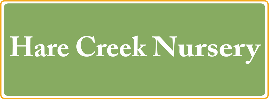 BNR-Hare-Creek-Logo-870x3206
